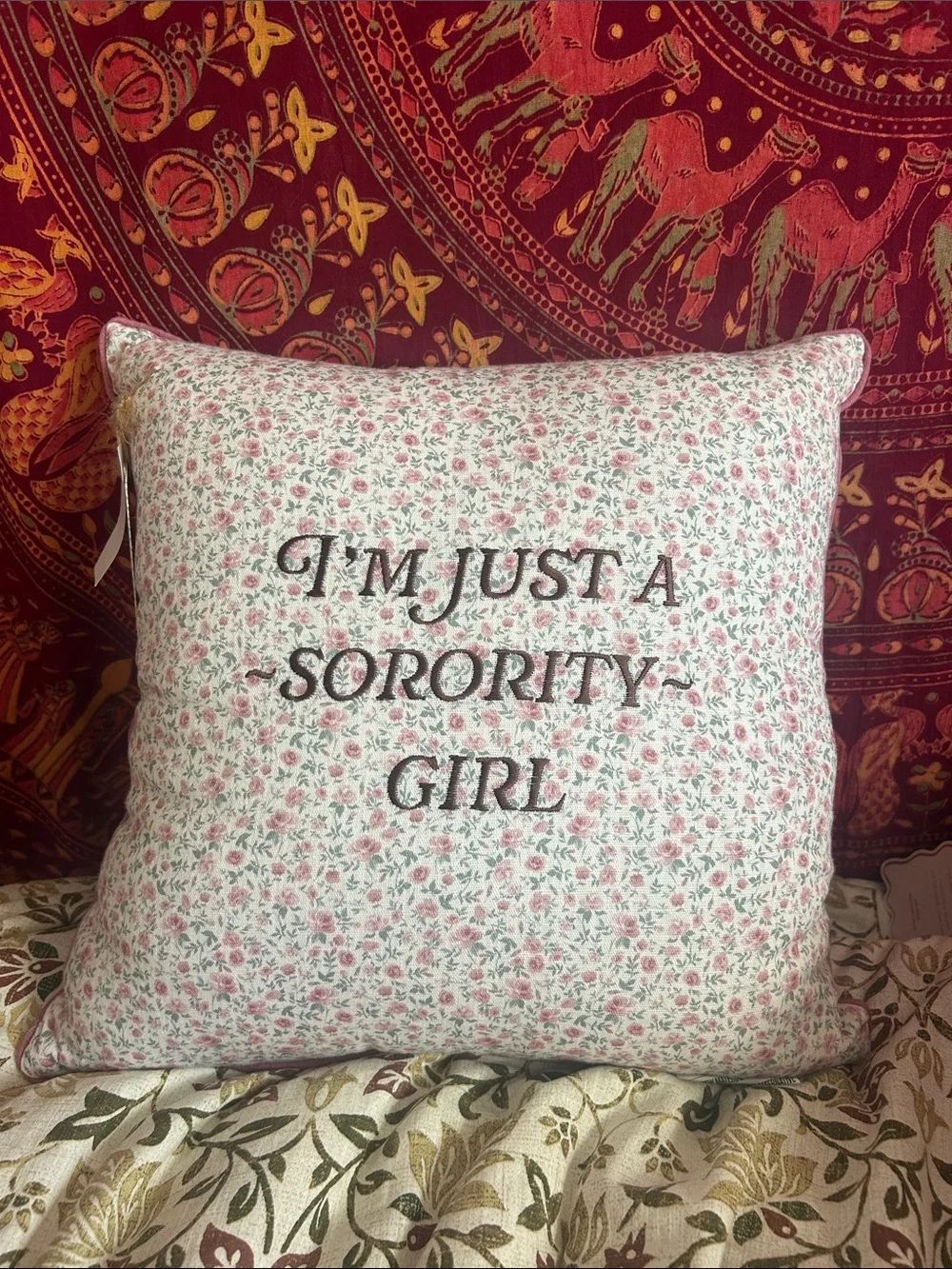 Viral sorority girl pillow